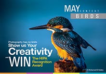 HIPA Re-launches â€˜Instagram Photo Contestâ€™ for its Social Media Followers