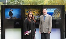 Chinese Ambassador to the UAE Visits HIPA Gallery