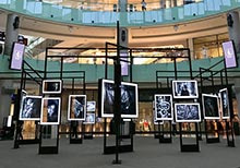 HIPA Launches â€˜The World of Black and White Photographyâ€™ Exhibition at the Dubai Mall
